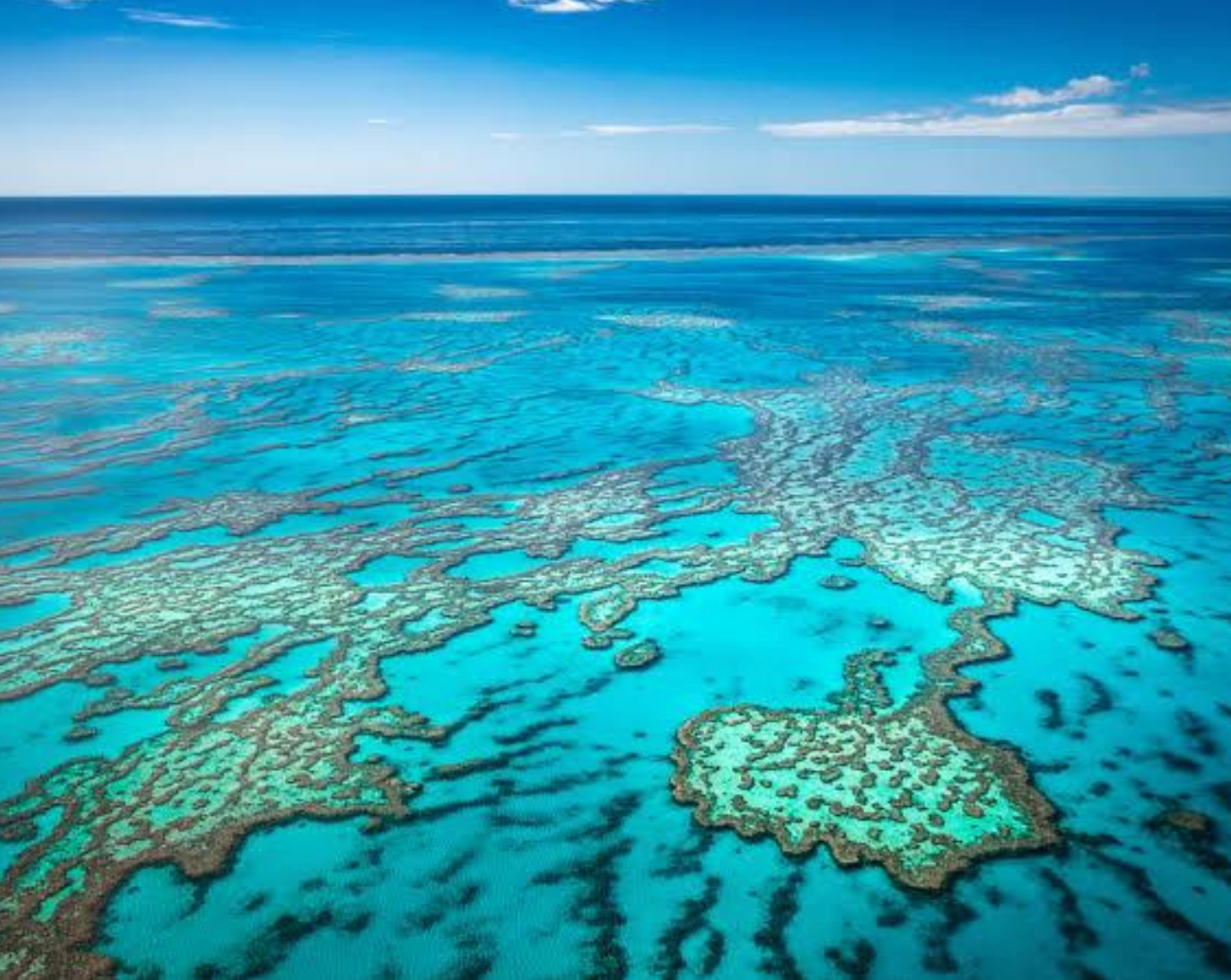 Great Barrier Reef, QLD