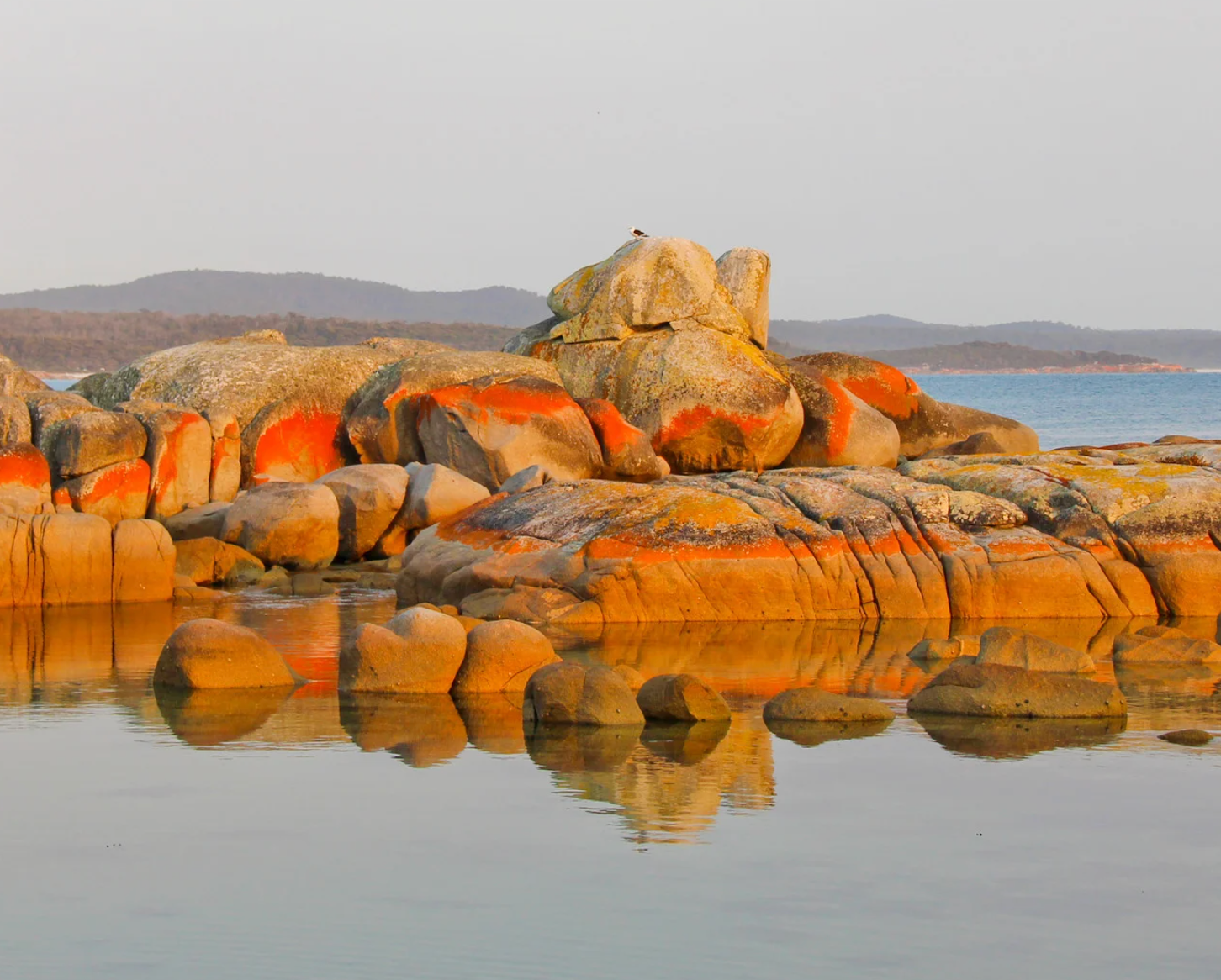 Bay of Fire, TAS